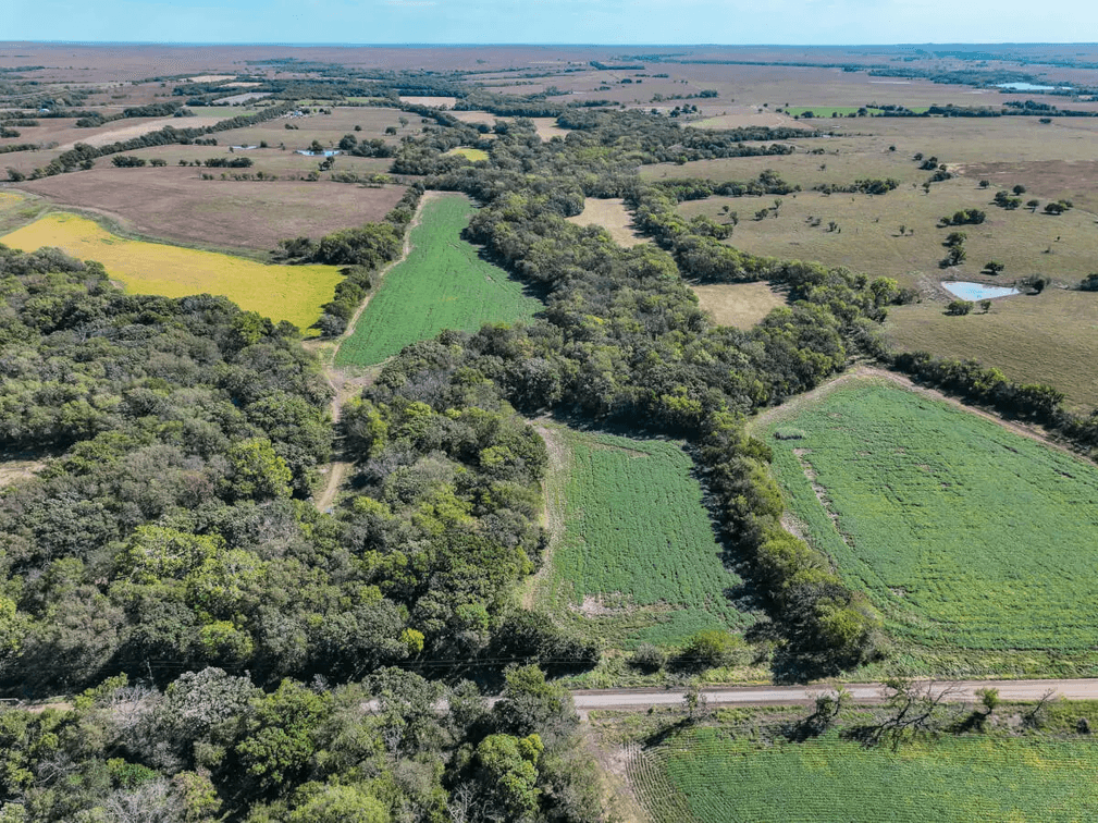 40.3 Acres Butler County, Kansas – Creek, River, Trees, Tillable & Hunting! photo 8