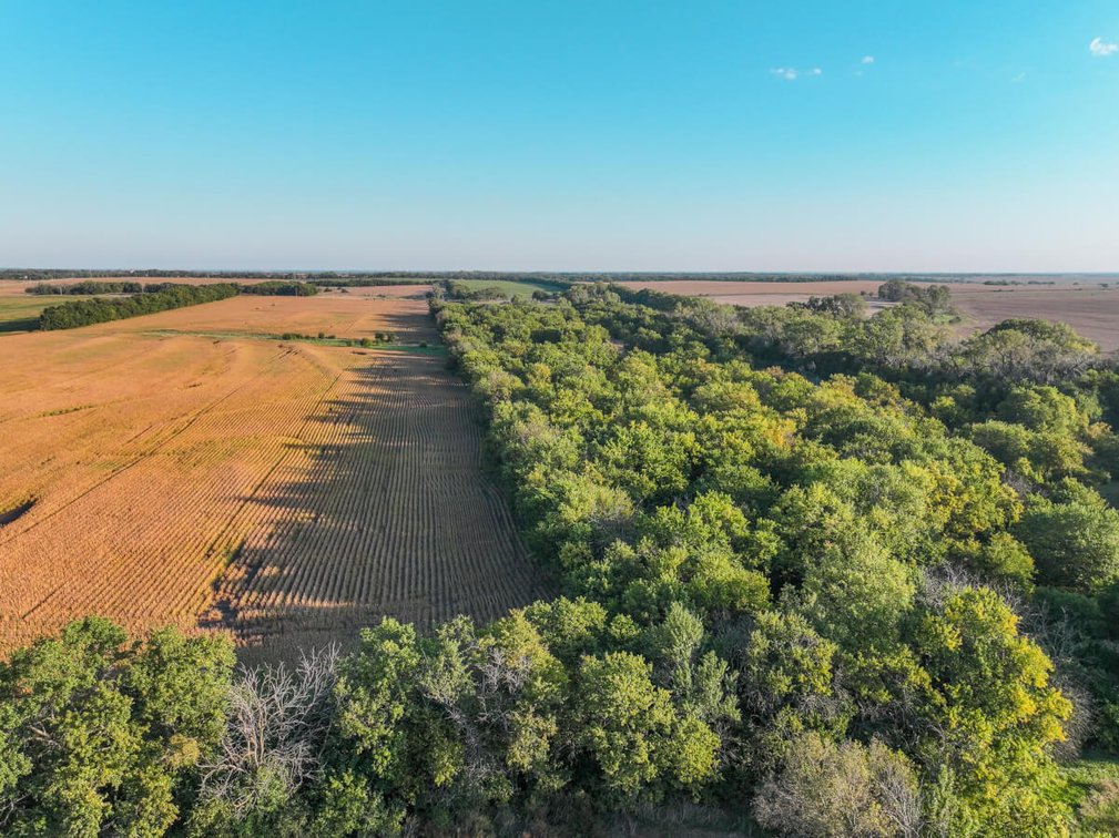 80+- Acres Marion County, KS – Trees, Pasture, Tillable, Water Meter & Electric! photo 2