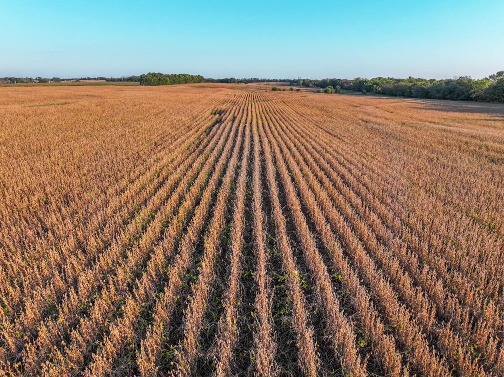 80+- Acres Marion County, KS – Trees, Pasture, Tillable, Water Meter & Electric! photo 4