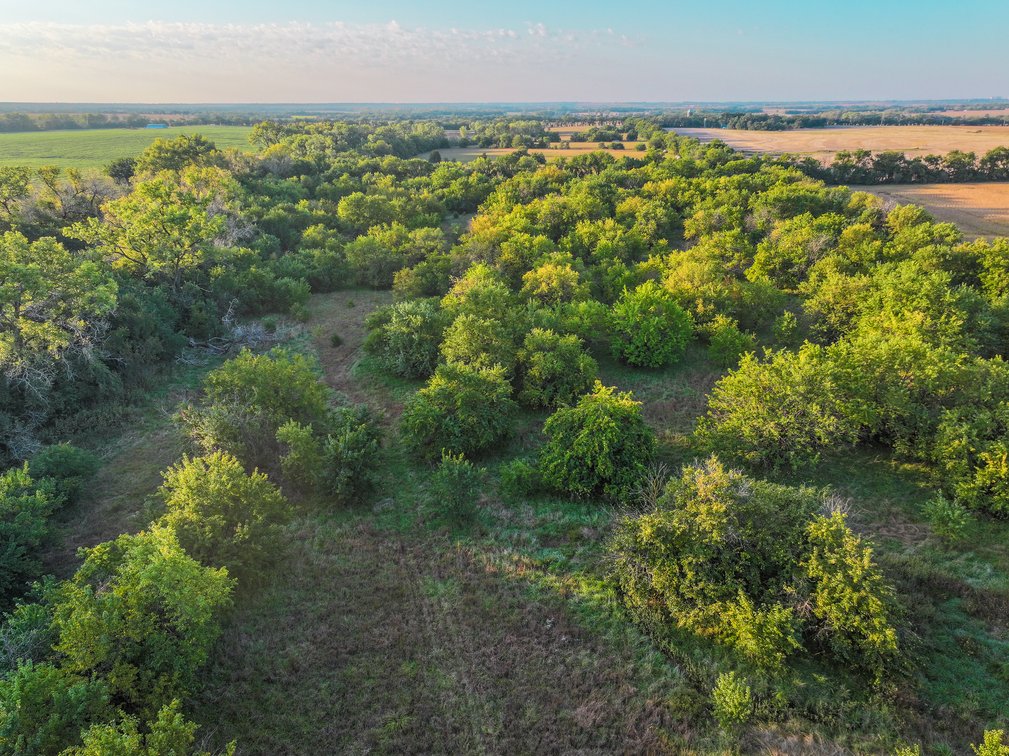 80+- Acres Marion County, KS – Trees, Pasture, Tillable, Water Meter & Electric! photo 8