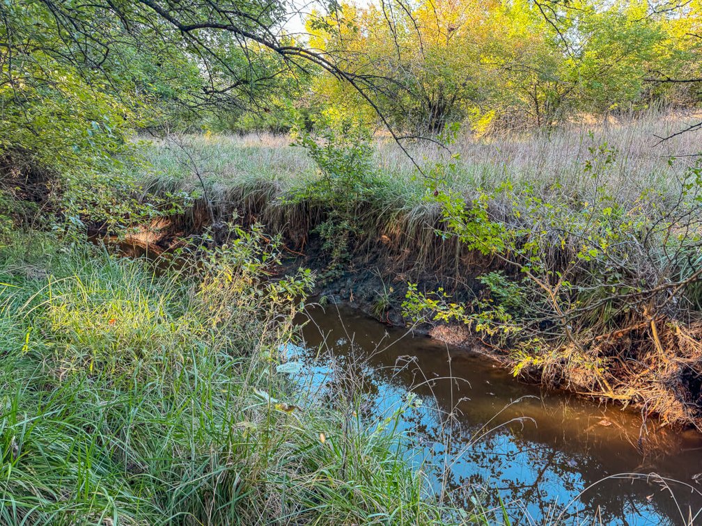 80+- Acres Marion County, KS – Trees, Pasture, Tillable, Water Meter & Electric! photo 9