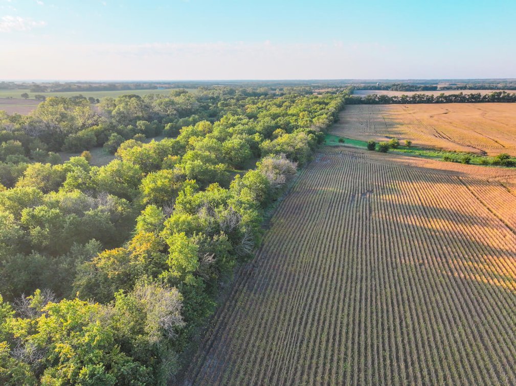 80+- Acres Marion County, KS – Trees, Pasture, Tillable, Water Meter & Electric! photo 10