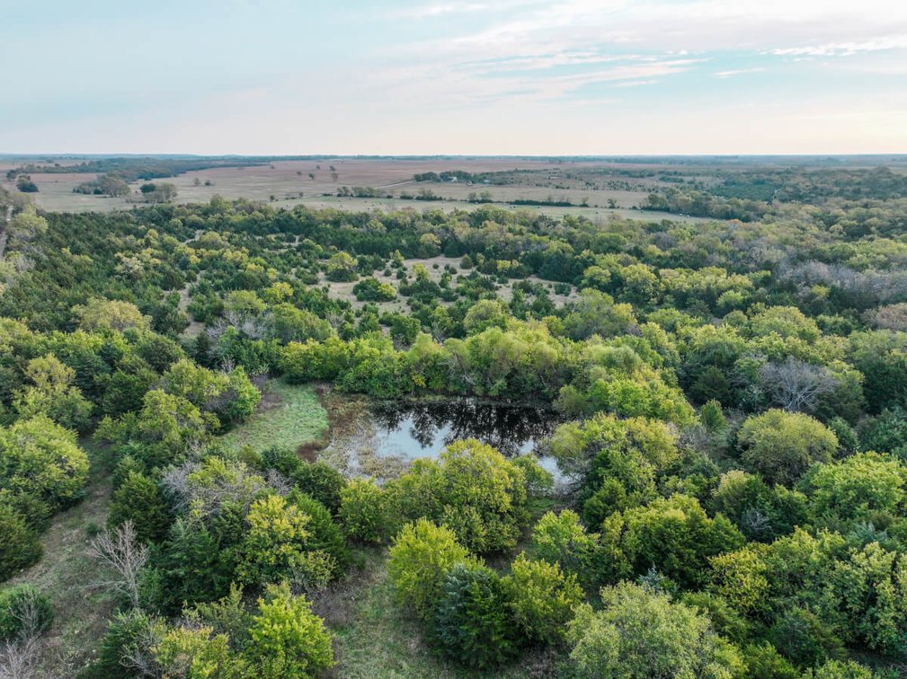131 Acres Near Toronto, Woodson County, Kansas – Hunting, Pond, Pasture, Trees & Tower Income photo 4