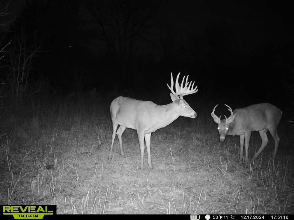 131 Acres Near Toronto, Woodson County, Kansas – Hunting, Pond, Pasture, Trees & Tower Income photo 9