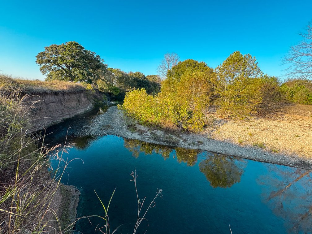 128.8 Acres Cowley County, KS – Grouse Creek, Cattle Pens, Brome Grass, Trees & Hunting/Fishing! photo 6