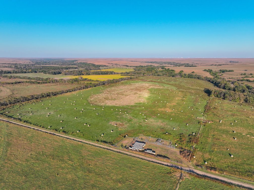 128.8 Acres Cowley County, KS – Grouse Creek, Cattle Pens, Brome Grass, Trees & Hunting/Fishing! photo 9