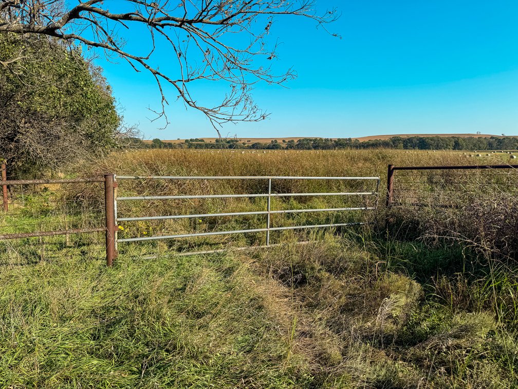 128.8 Acres Cowley County, KS – Grouse Creek, Cattle Pens, Brome Grass, Trees & Hunting/Fishing! photo 7