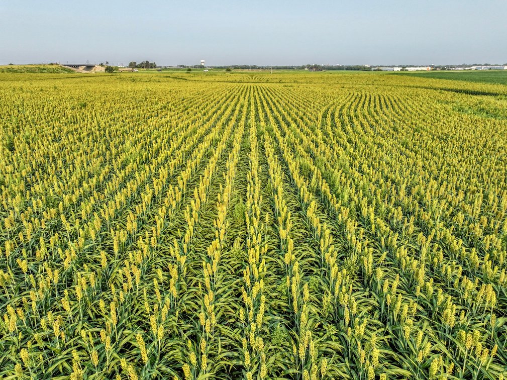 144.3 Acres McPherson, Kansas Land – Tillable Farm Ground & I-135 Frontage photo 4