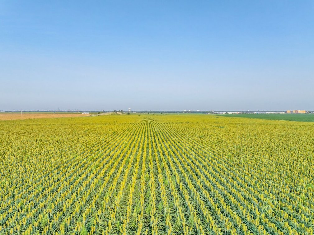 144.3 Acres McPherson, Kansas Land – Tillable Farm Ground & I-135 Frontage photo 6