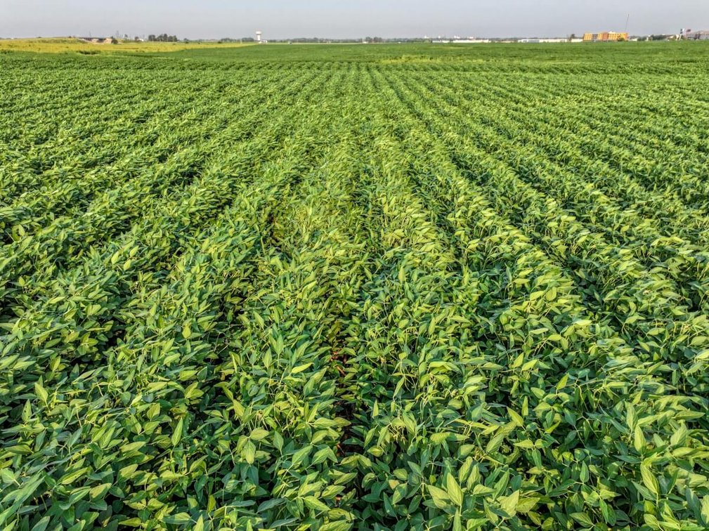 144.3 Acres McPherson, Kansas Land – Tillable Farm Ground & I-135 Frontage photo 7