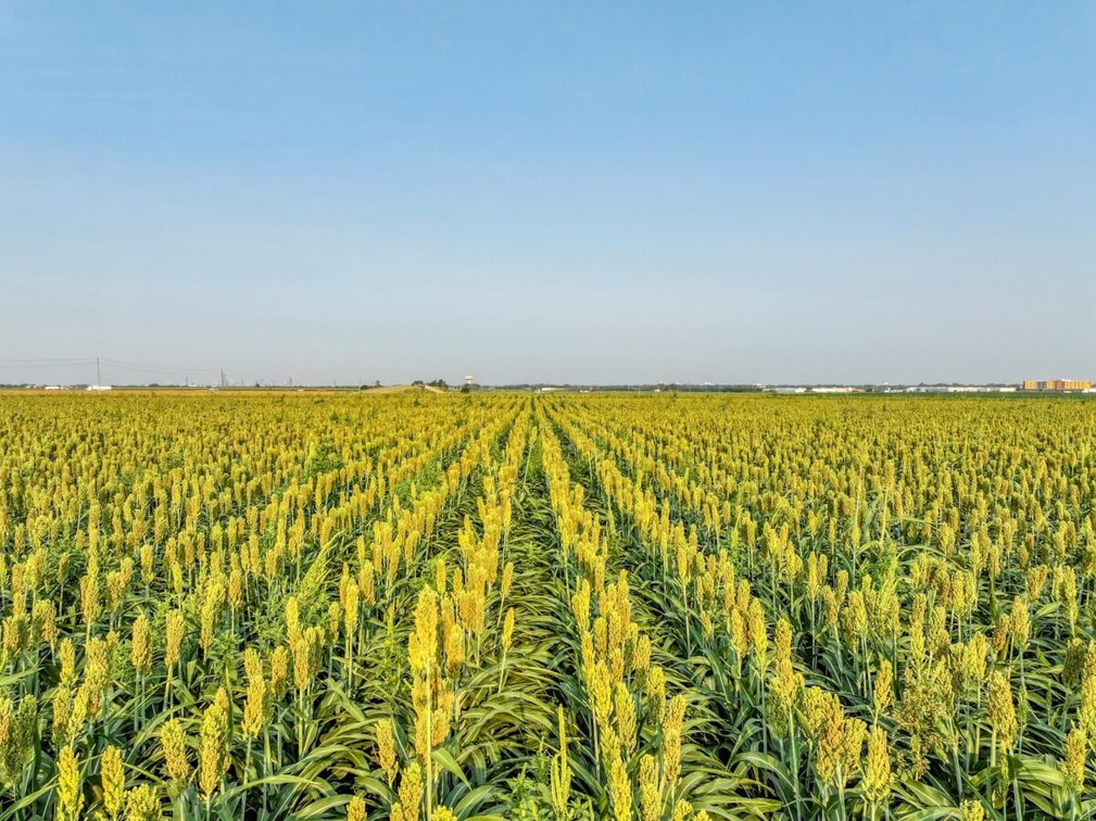144.3 Acres McPherson, Kansas Land – Tillable Farm Ground & I-135 Frontage photo 5