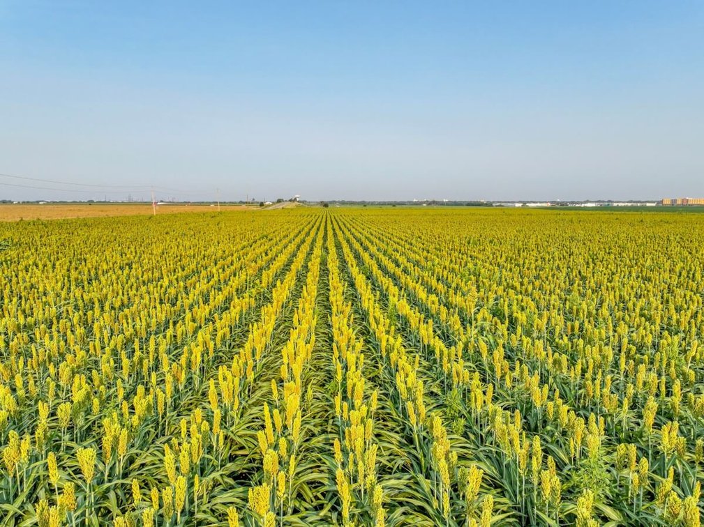 144.3 Acres McPherson, Kansas Land – Tillable Farm Ground & I-135 Frontage photo 10