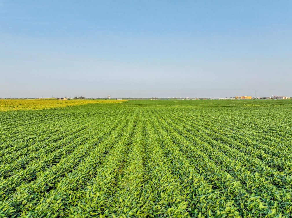 144.3 Acres McPherson, Kansas Land – Tillable Farm Ground & I-135 Frontage photo 9