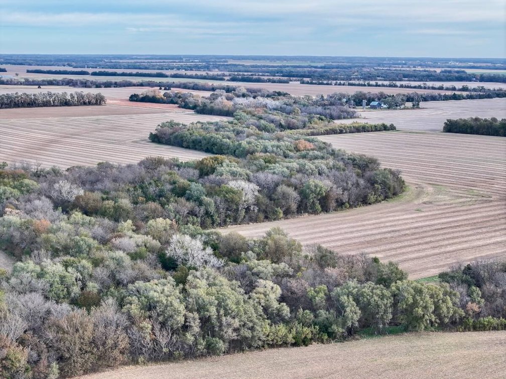 64+- Acres Tillable, Creek & Trees! West of Newton in Harvey County, Kansas photo 2