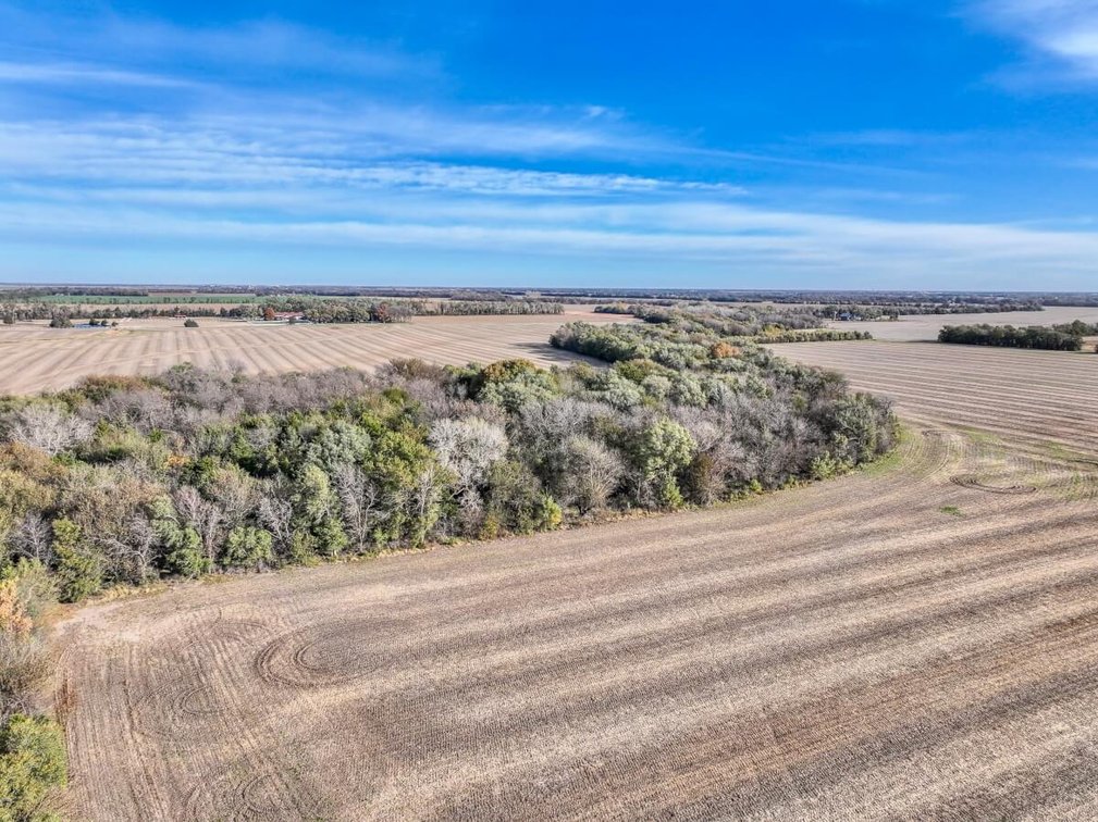 64+- Acres Tillable, Creek & Trees! West of Newton in Harvey County, Kansas photo 3