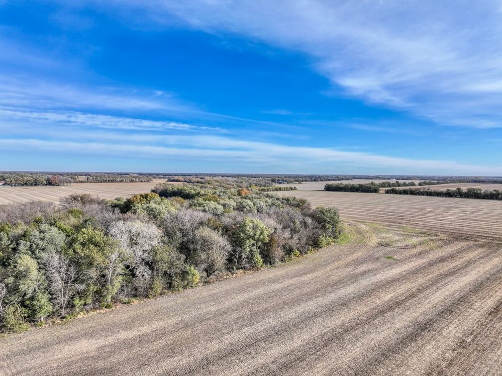 64+- Acres Tillable, Creek & Trees! West of Newton in Harvey County, Kansas photo 4