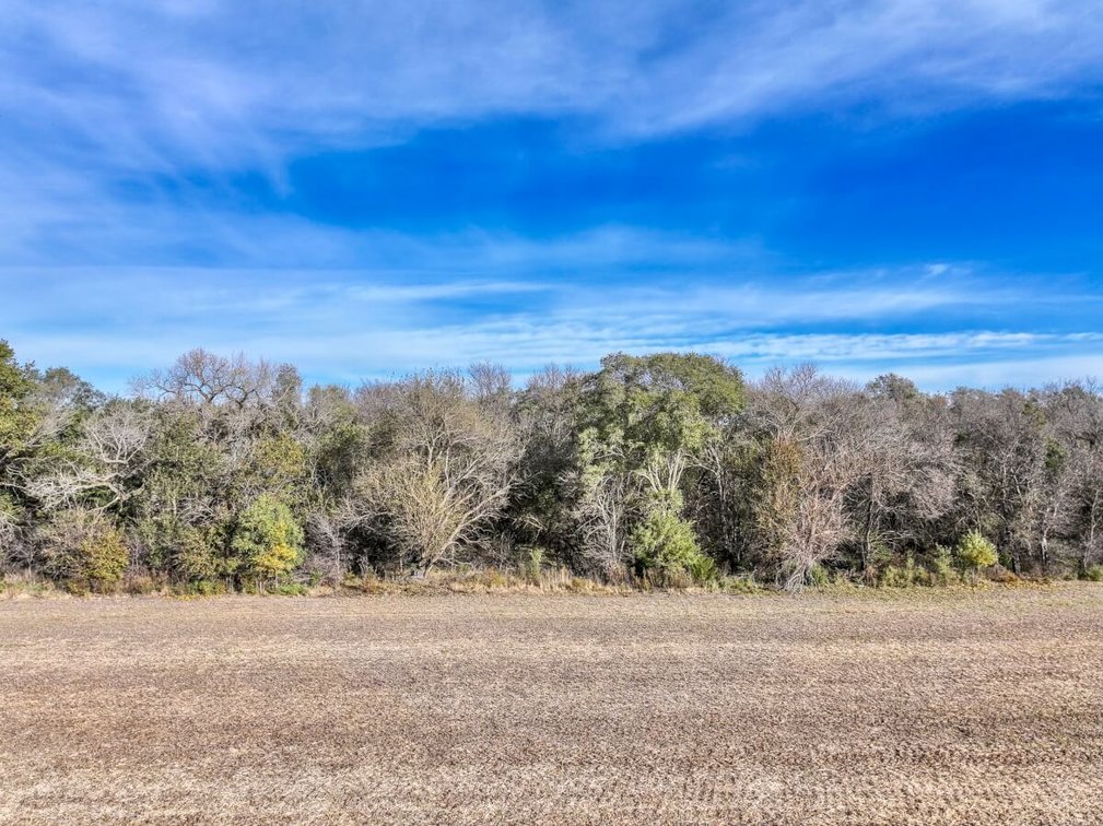 64+- Acres Tillable, Creek & Trees! West of Newton in Harvey County, Kansas photo 5