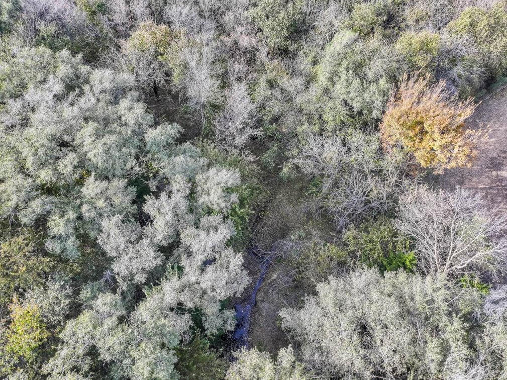 64+- Acres Tillable, Creek & Trees! West of Newton in Harvey County, Kansas photo 6
