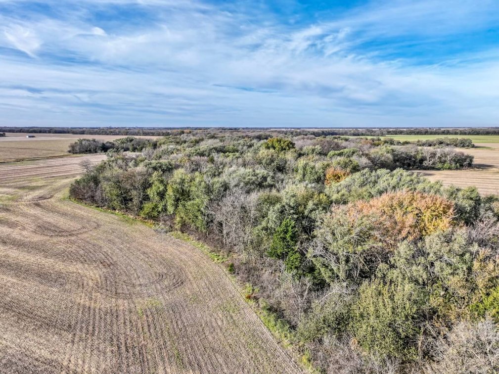 64+- Acres Tillable, Creek & Trees! West of Newton in Harvey County, Kansas photo 7