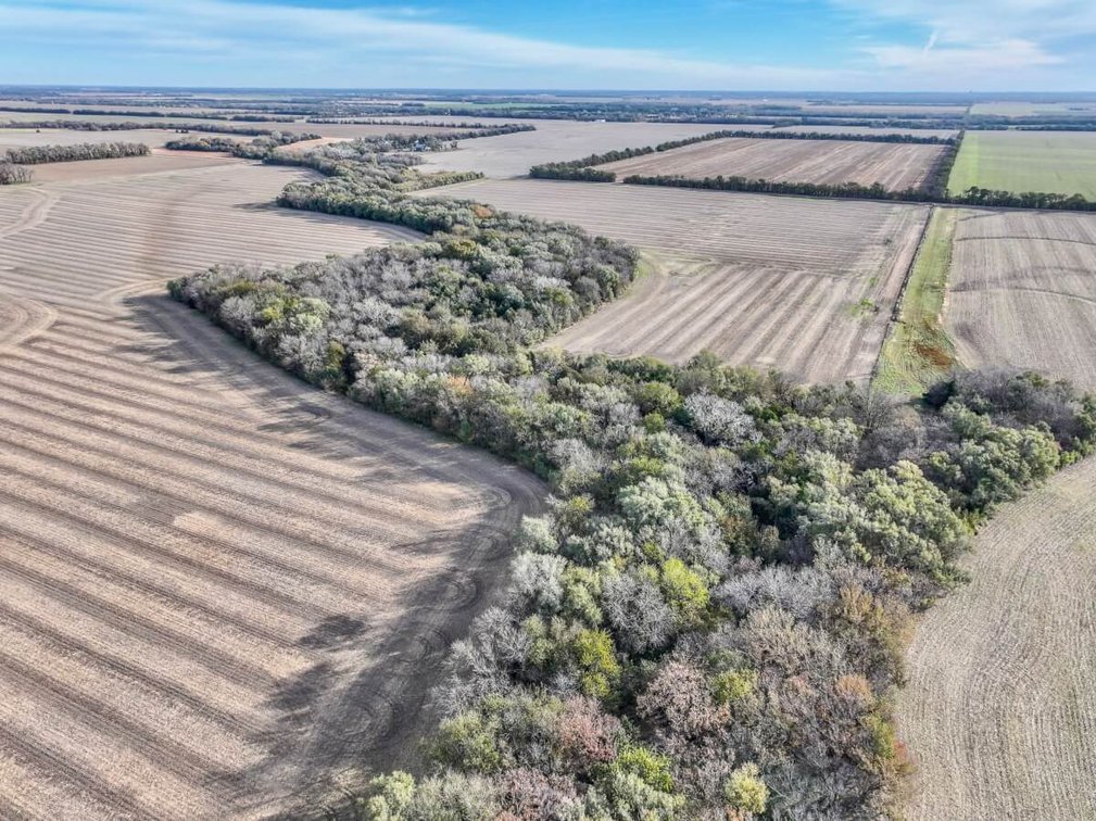 64+- Acres Tillable, Creek & Trees! West of Newton in Harvey County, Kansas photo 8