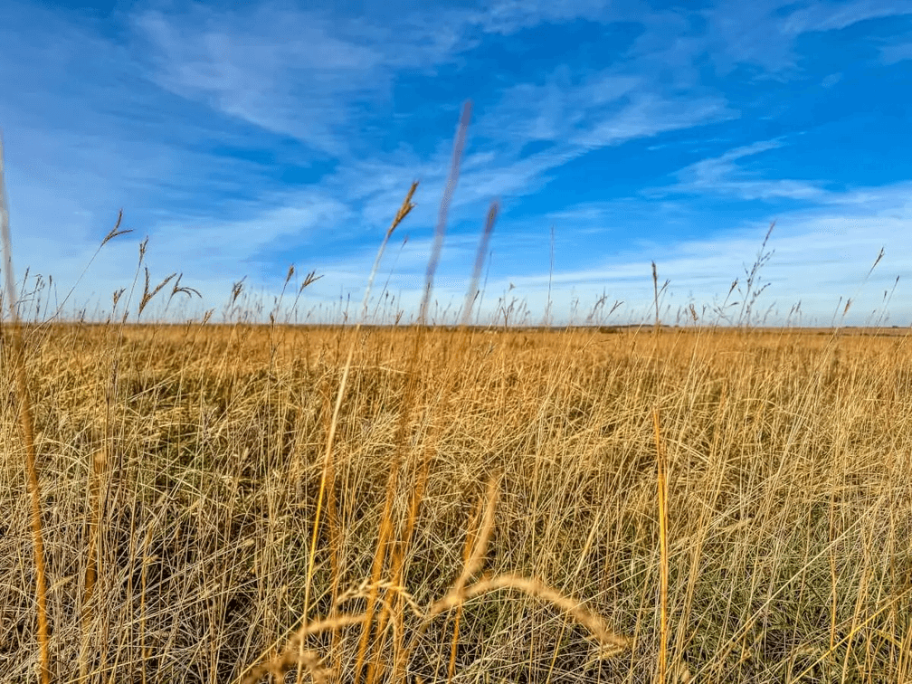 161.5 Acres Native Flint Hills Pasture Near Eureka Lake, Greenwood County, KS photo 5