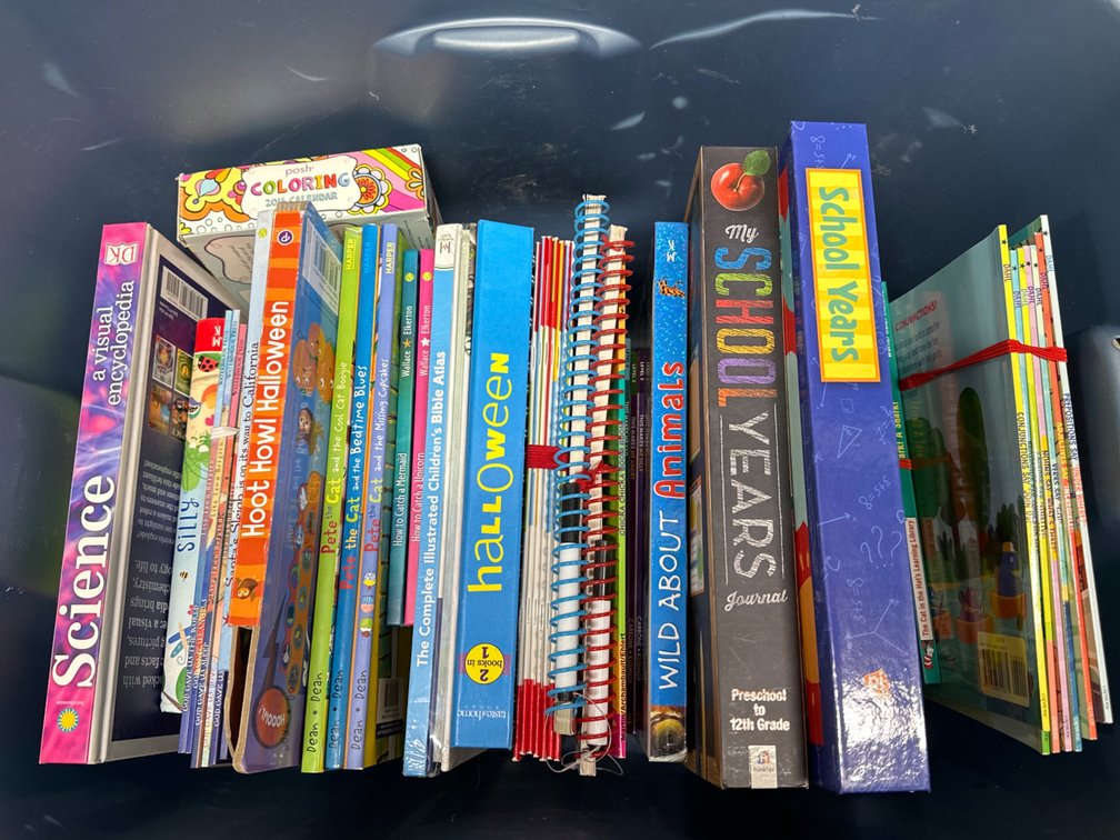 Tub of Grade School Age Books