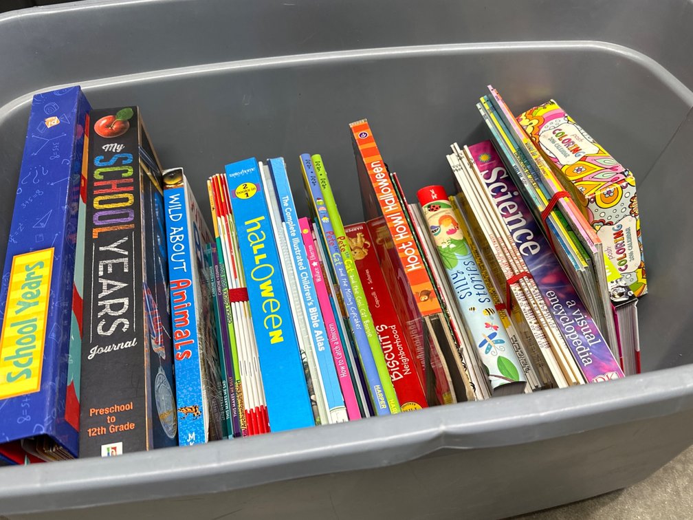 Tub of Grade School Age Books