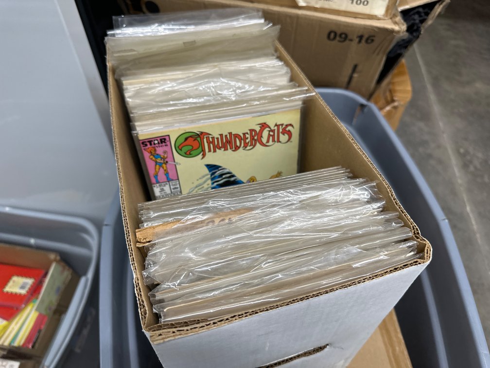 Thundercats, Titans Comic Books