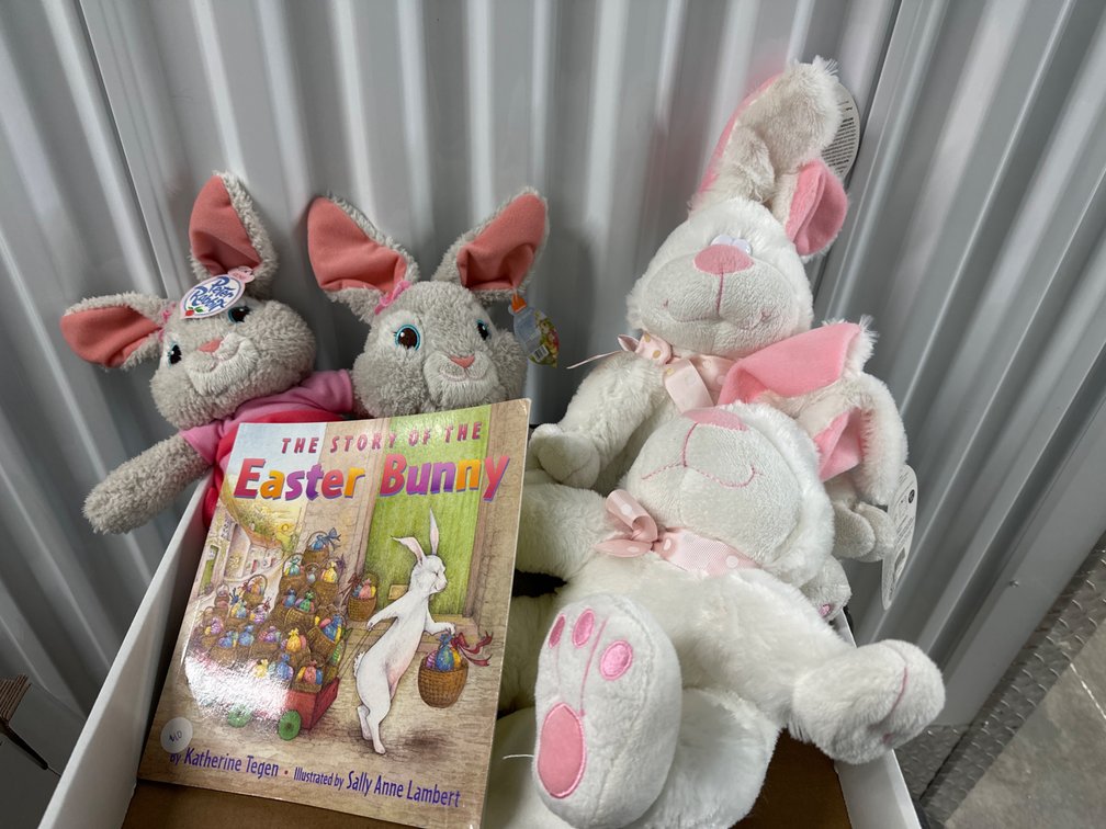 Easter Bunnies, Book