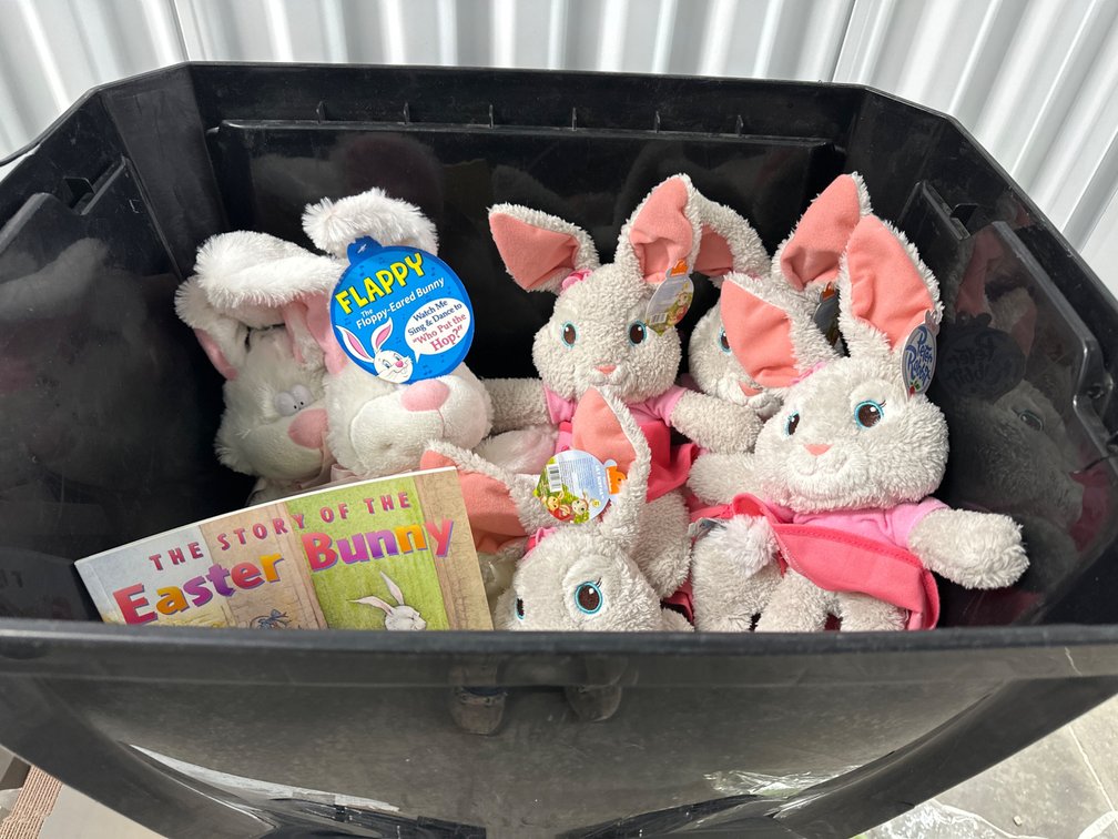 Multiples of Bunnies, Book