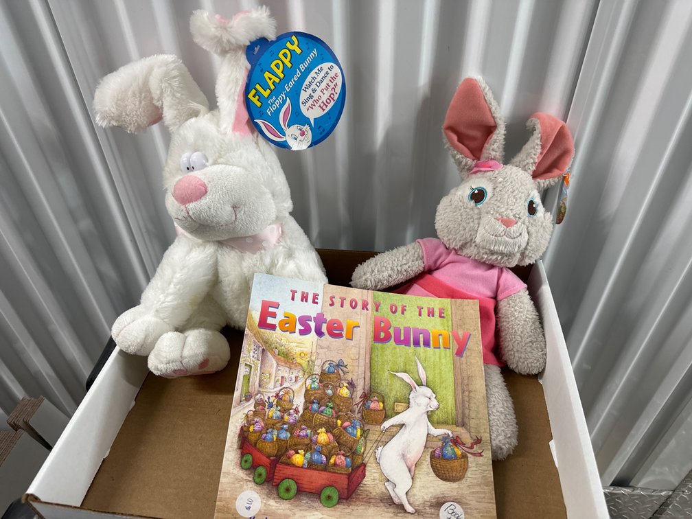 Easter Bunnies and Book