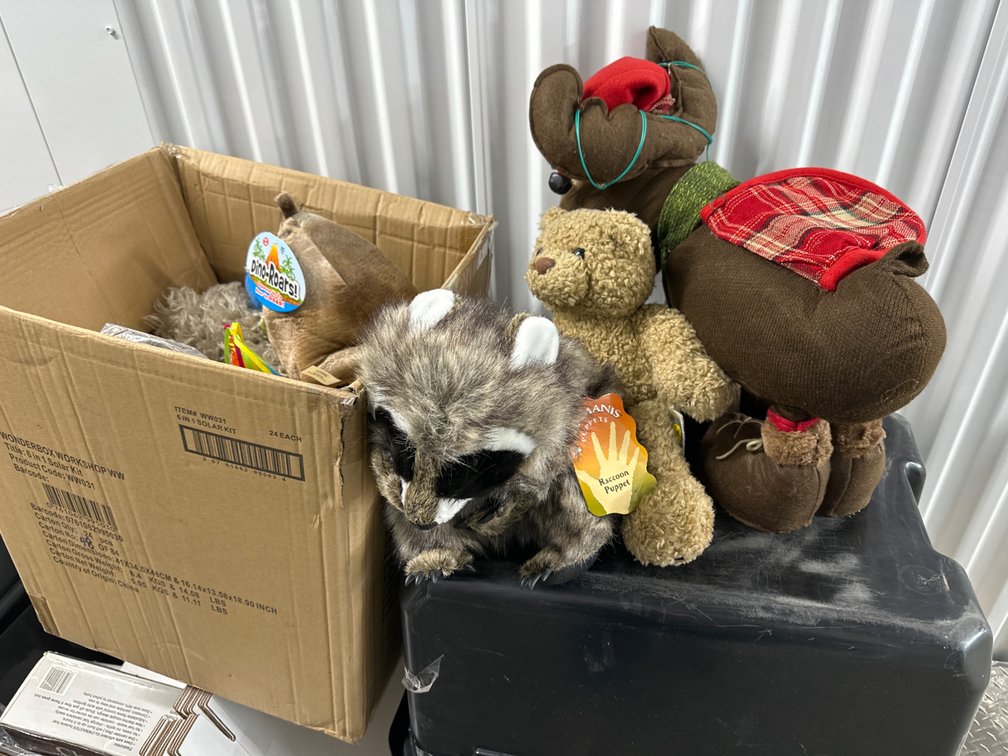 Variety of Stuffed Animals 