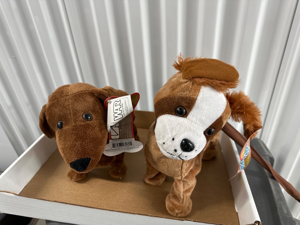 Dachshund, Beagle Walking Pups