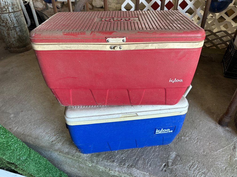 Igloo Coolers