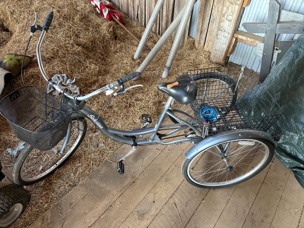 Schwinn  3 Wheeler