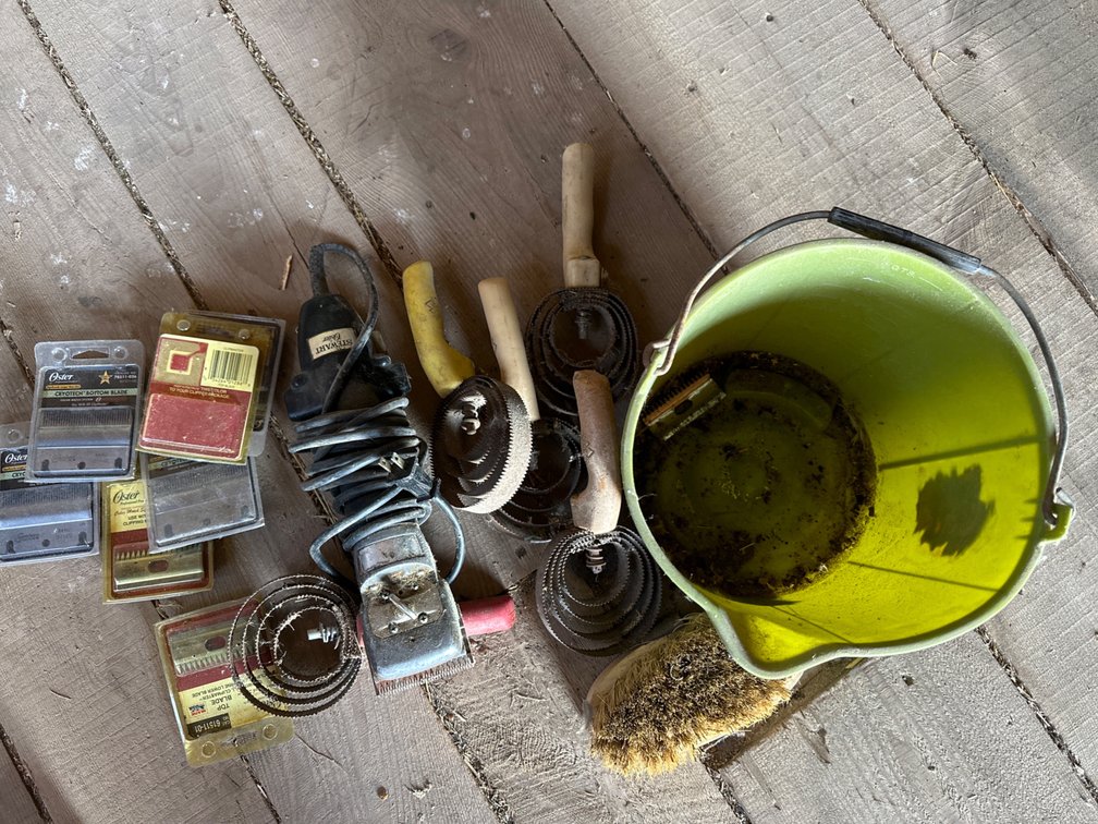 Animal Grooming Kit