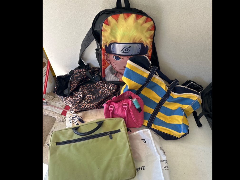 Back Packs, Beach Bag