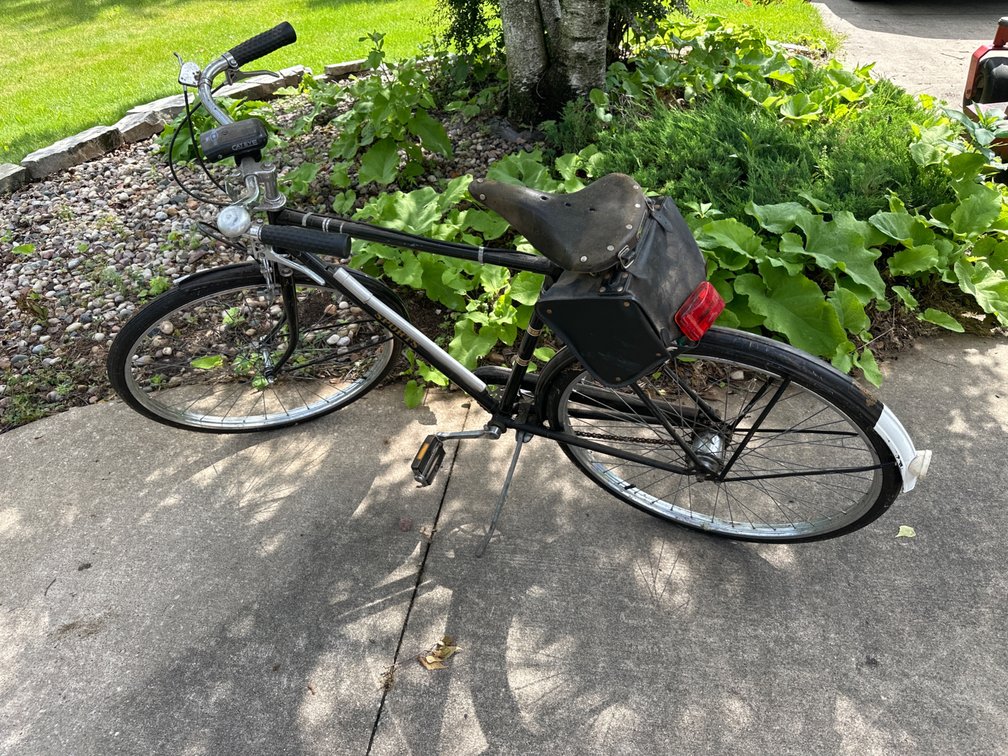 Raleigh Sports Bike