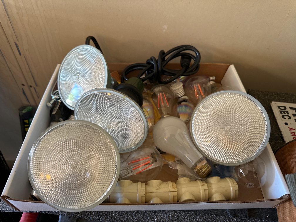 Variety of Light Bulbs
