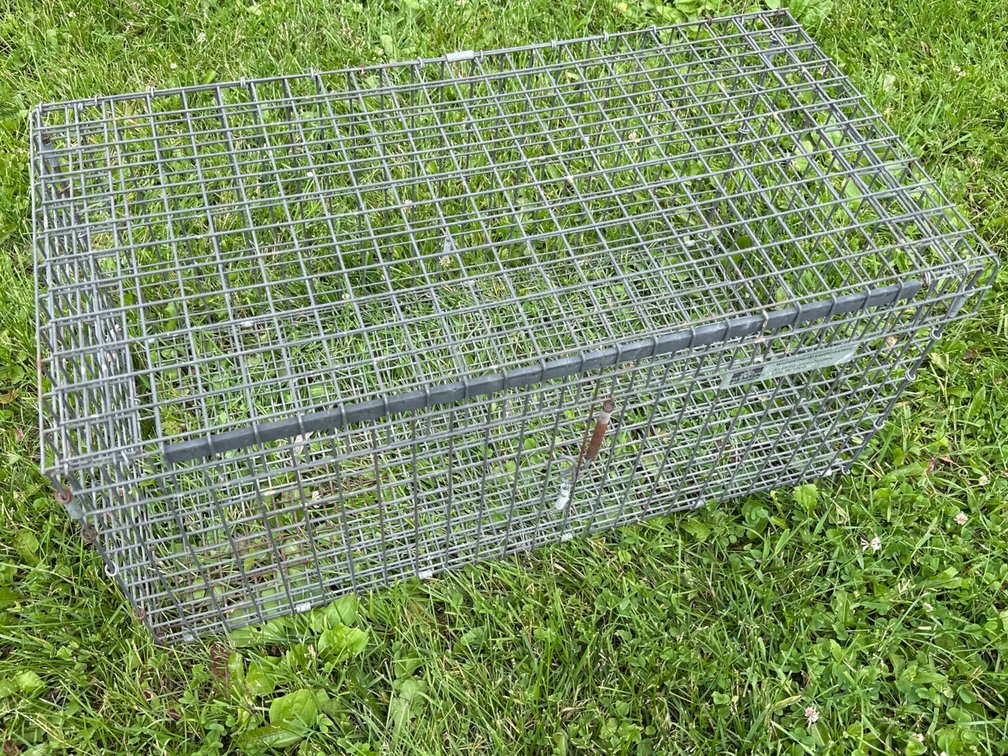 Wire Cage