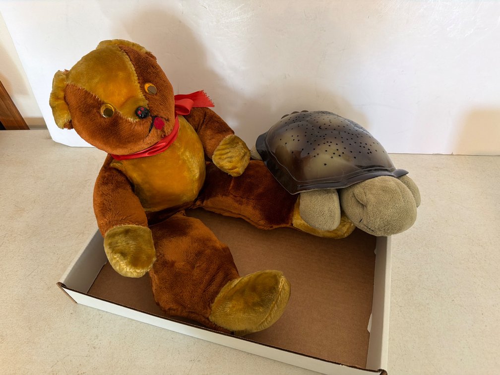 Vintage Teddy Bear, Battery Operated Turtle Light
