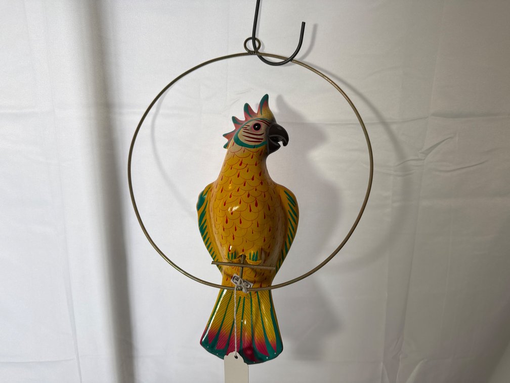 Cockatoo Hanging on a Metal Ring