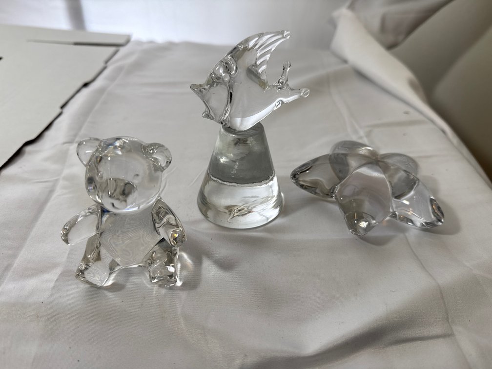 Glass Bear,  Fish, Starfish