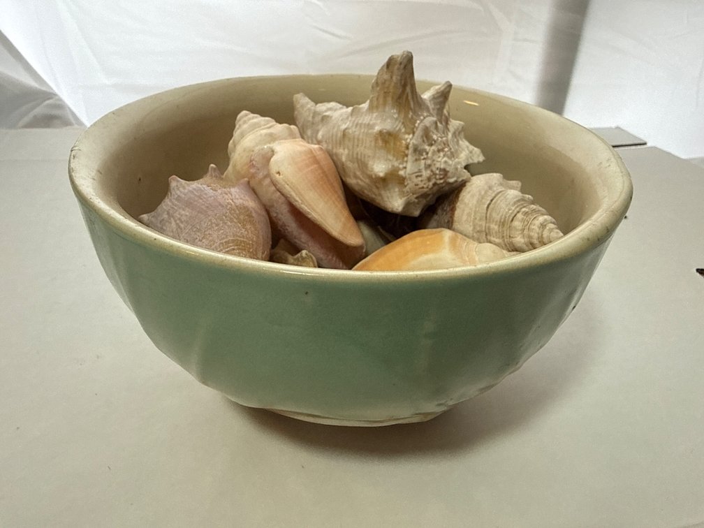 Ceramic Bowl with Shells