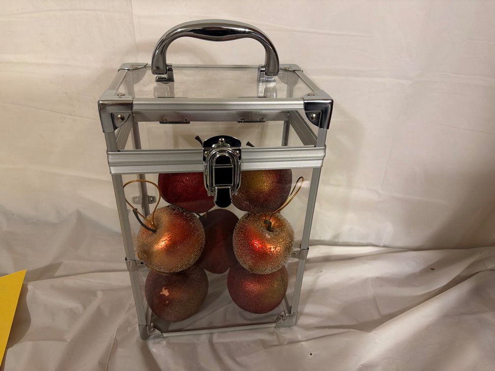 12” Tall Plastic Case with Decorative Apples
