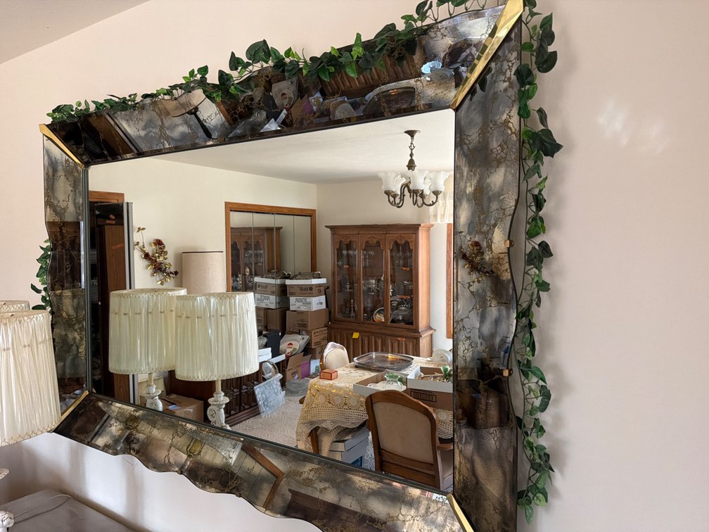 Large Mirror-Beveled Glass Frame with Etched Detail-63” X 43”