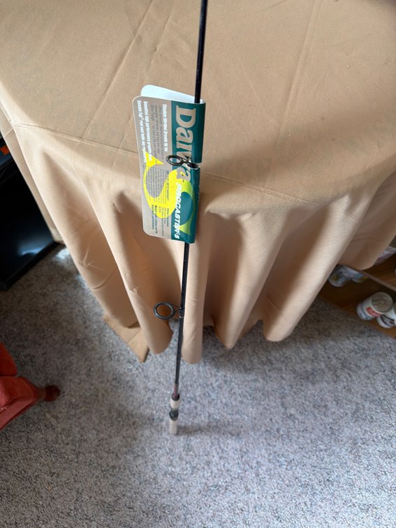 Daiwa Fishing Pole
