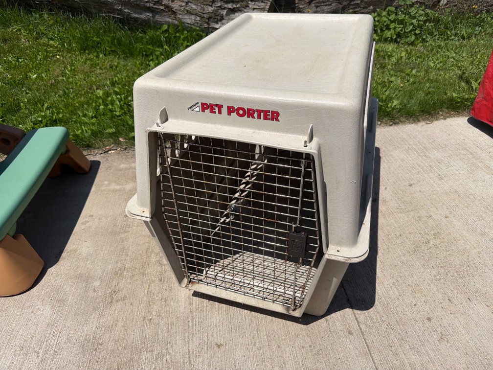 Pet Porter