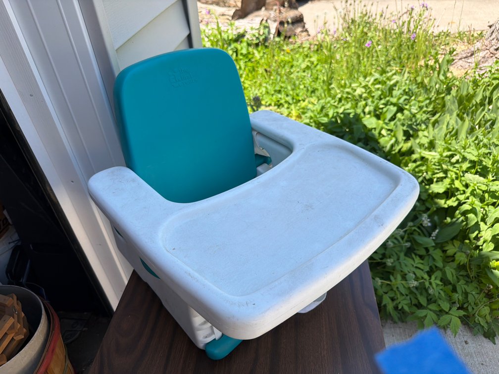 Booster Chair