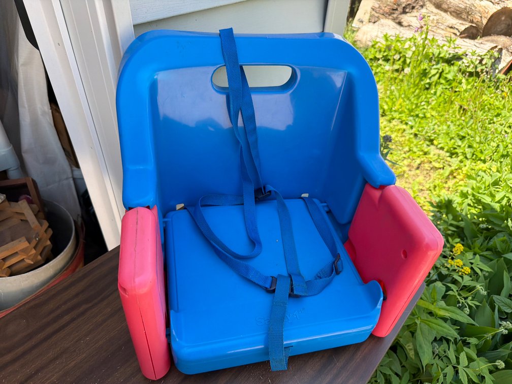 Safety 1st Booster Chair